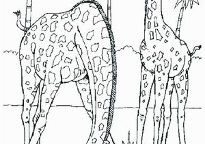 Realistic Coloring Pages Of Animals Realistic Animal Coloring Pages Realistic Animal Coloring Pages and