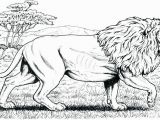 Realistic Coloring Pages Of Animals Realistic Coloring Pages Animals 11