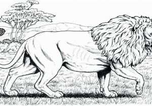Realistic Coloring Pages Of Animals Realistic Coloring Pages Animals 11