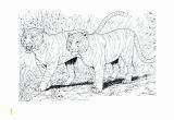 Realistic Coloring Pages Of Animals Realistic Coloring Pages Animals 5