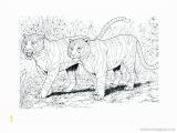 Realistic Coloring Pages Of Animals Realistic Coloring Pages Animals 5