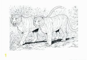 Realistic Coloring Pages Of Animals Realistic Coloring Pages Animals 5