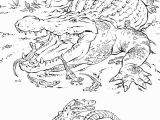 Realistic Coloring Pages Of Animals Realistic Coloring Pages Animals Coloring Pages