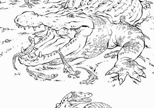 Realistic Coloring Pages Of Animals Realistic Coloring Pages Animals Coloring Pages