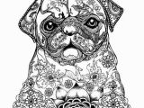 Realistic Cute Animal Coloring Pages 12 Free Printable Adult Coloring Pages for Summer
