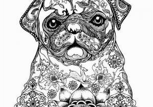 Realistic Cute Animal Coloring Pages 12 Free Printable Adult Coloring Pages for Summer