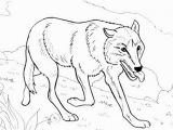 Realistic Cute Animal Coloring Pages Printable Coloring Pages Wolves 10 S Rad Io Gora