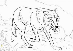 Realistic Cute Animal Coloring Pages Printable Coloring Pages Wolves 10 S Rad Io Gora