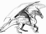 Realistic Dragon Coloring Pages Dragon Coloring Page 29 Dragons Coloring Pages Kids Coloring