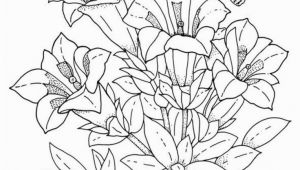 Realistic Flower Coloring Pages Download and Print Realistic Flowers Coloring Pages for