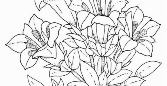 Realistic Flower Coloring Pages Download and Print Realistic Flowers Coloring Pages for