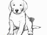 Realistic Golden Retriever Dog Coloring Pages Golden Retriever Coloring Pages Best Coloring Pages for Kids