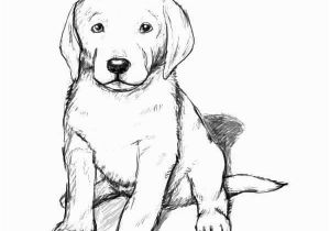 Realistic Golden Retriever Dog Coloring Pages Golden Retriever Coloring Pages Best Coloring Pages for Kids