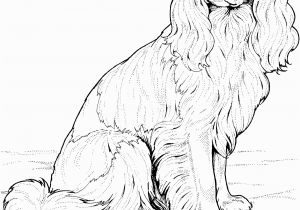 Realistic Golden Retriever Dog Coloring Pages Golden Retriever Puppies Coloring Pages Coloring Home