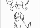 Realistic Golden Retriever Dog Coloring Pages Golden Retriever Puppies Coloring Pages Coloring Home