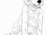 Realistic Golden Retriever Dog Coloring Pages Golden Retriever Puppy Coloring Page
