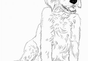 Realistic Golden Retriever Dog Coloring Pages Golden Retriever Puppy Coloring Page