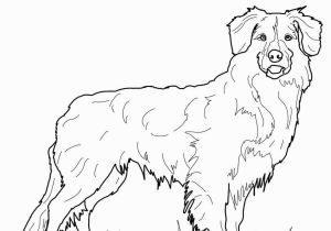 Realistic Golden Retriever Dog Coloring Pages Golden Retriever Puppy Coloring Pages Printable Coloring