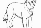 Realistic Golden Retriever Dog Coloring Pages Realistic Golden Retriever Coloring Pages