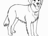 Realistic Golden Retriever Dog Coloring Pages Realistic Golden Retriever Coloring Pages