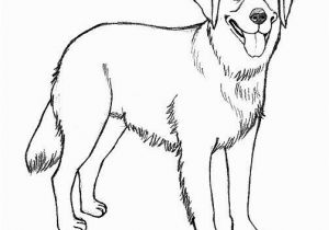 Realistic Golden Retriever Dog Coloring Pages Realistic Golden Retriever Coloring Pages