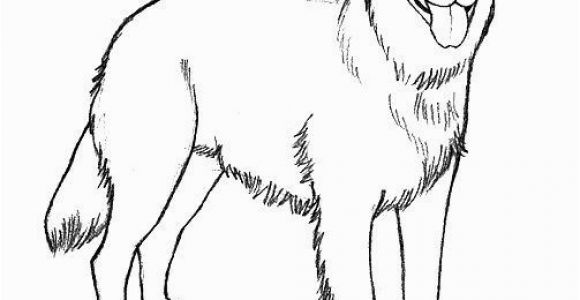 Realistic Golden Retriever Dog Coloring Pages Realistic Golden Retriever Coloring Pages