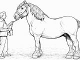 Realistic Horse Coloring Pages for Adults Clydesdale Horse Coloring Page