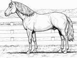 Realistic Horse Coloring Pages for Adults Horse Coloring Pages for Adults Best Coloring Pages for Kids