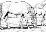 Realistic Horse Coloring Pages for Adults Horse Coloring Pages for Adults Best Coloring Pages for Kids