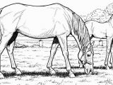 Realistic Horse Coloring Pages for Adults Horse Coloring Pages for Adults Best Coloring Pages for Kids