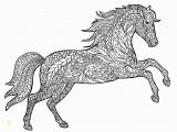 Realistic Horse Coloring Pages for Adults Horse Coloring Pages for Adults Best Coloring Pages for Kids