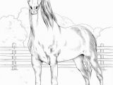 Realistic Horse Coloring Pages for Adults Printable Morgan Horse Coloring Page for Both Aldults and