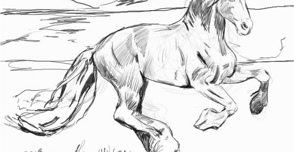 Realistic Horse Coloring Pages for Adults Realistic Horse Coloring Pages for Adults Coloring Pages