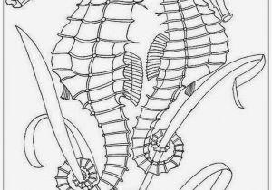 Realistic Horse Coloring Pages for Adults Realistic Seahorse Coloring Pages for Adult