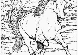 Realistic Horse Coloring Pages Realistic Horse Coloring Pages Horse Color Pages Printable Horse