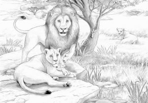 Realistic Lion Coloring Pages Lion Free Clipart 110