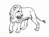 Realistic Lion Coloring Pages Lion Free Pritout