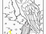 Realistic Owl Coloring Pages 276 Best Coloring Images On Pinterest