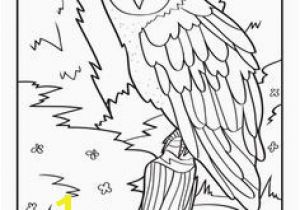 Realistic Owl Coloring Pages 276 Best Coloring Images On Pinterest
