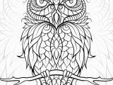 Realistic Owl Coloring Pages Diceowl Free Printable Adult Coloring Pages