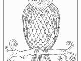 Realistic Owl Coloring Pages Flora and Fauna Coloring Sheets — Short Leg Studio