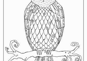 Realistic Owl Coloring Pages Flora and Fauna Coloring Sheets — Short Leg Studio