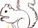 Realistic Squirrel Coloring Page 13 Best Coloring Pages for the Kid S Images In 2019