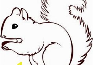 Realistic Squirrel Coloring Page 13 Best Coloring Pages for the Kid S Images In 2019