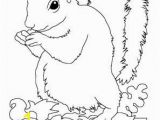 Realistic Squirrel Coloring Page Animal Squirrel Coloring Pages