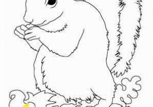Realistic Squirrel Coloring Page Animal Squirrel Coloring Pages