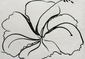 Realistic Squirrel Coloring Page Chinchilla Coloring Page New Stock Sleeping Baby Angels