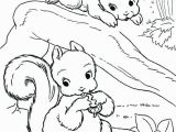 Realistic Squirrel Coloring Page Fionajessicawilsonfo