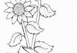 Realistic Sunflower Coloring Page Pin by norma Sagraves On Crafts
