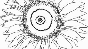 Realistic Sunflower Coloring Page Sunflower Coloring Page for Kindergarten